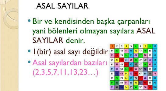 Asal Saylar